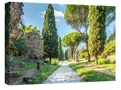 Quadri moderni 100x70 roma - moderni,